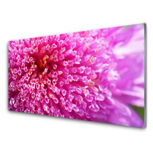 Acrylic Print Flower floral pink 100x50 cm