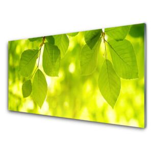 Acrylic Print Leaves floral green 100x50 cm