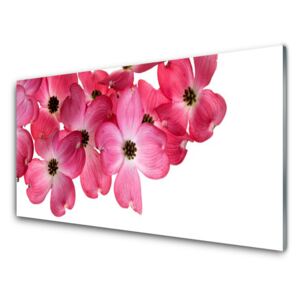 Acrylic Print Flowers floral pink white 100x50 cm