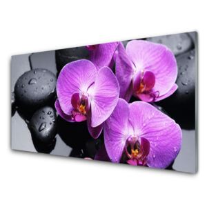 Acrylic Print Flower stones floral purple black 125x50 cm