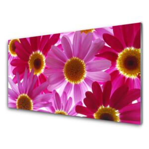 Acrylic Print Flowers floral pink yellow 100x50 cm