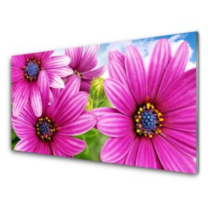 Acrylic Print Flowers floral pink yellow blue 100x50 cm