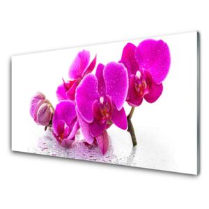 Acrylic Print Flowers floral pink 140x70 cm