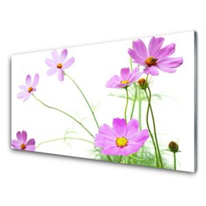 Acrylic Print Flowers floral pink green 100x50 cm