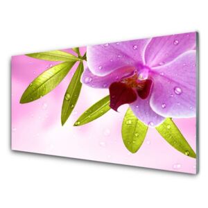 Acrylic Print Flower leaves floral pink green 125x50 cm