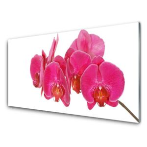 Acrylic Print Flowers floral red 140x70 cm