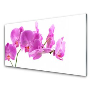 Acrylic Print Flowers floral pink 125x50 cm