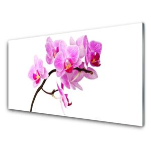 Acrylic Print Flowers floral pink brown 120x60 cm
