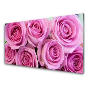 Acrylic Print Roses floral pink 100x50 cm