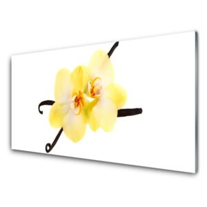 Plexiglas® Wall Art Flowers floral white yellow brown 100x50 cm