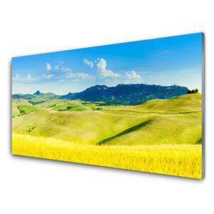 Plexiglas® Wall Art Country mountains landscape green blue 100x50 cm
