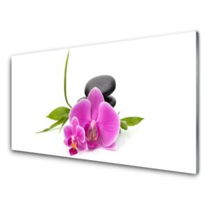 Plexiglas® Wall Art Flower stones floral pink black 125x50 cm