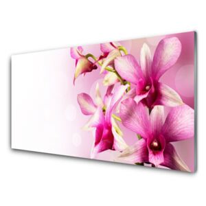 Plexiglas® Wall Art Flowers floral pink 140x70 cm