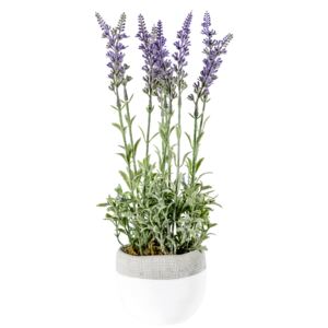 Faux Lavender in White Pot, Large