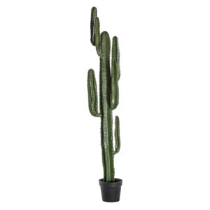 Large Faux Desert Cactus