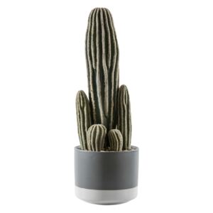 Faux San Pedro Cactus in Grey and White Pot