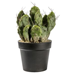 Faux Optunia Cactus in Black Pot