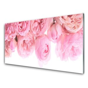 Plexiglas® Wall Art Roses floral pink 100x50 cm