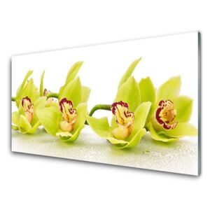 Plexiglas® Wall Art Flowers floral green 100x50 cm