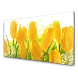 Plexiglas® Wall Art Tulips floral yellow green 100x50 cm