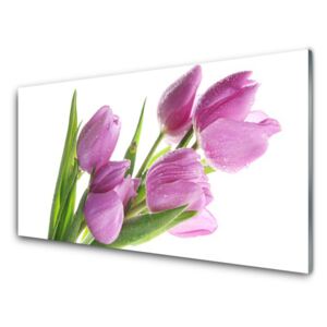 Plexiglas® Wall Art Tulips floral pink green 100x50 cm