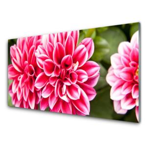 Plexiglas® Wall Art Flowers floral red white 100x50 cm