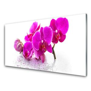 Plexiglas® Wall Art Flowers floral pink 120x60 cm