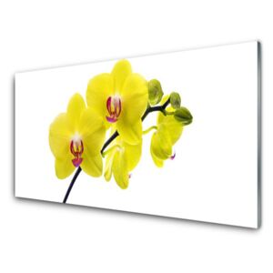 Plexiglas® Wall Art Flowers floral green 100x50 cm