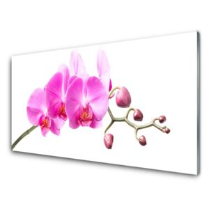 Plexiglas® Wall Art Flowers floral pink 125x50 cm