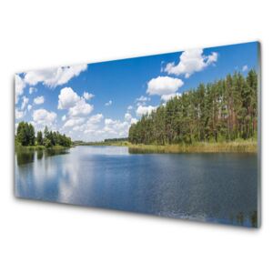 Plexiglas® Wall Art Forest lake landscape green blue 100x50 cm
