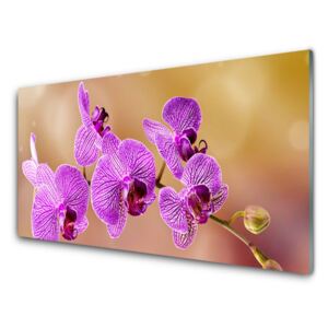Plexiglas® Wall Art Flowers floral pink 140x70 cm