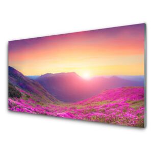 Plexiglas® Wall Art Sun mountain meadow nature yellow blue green pink 140x70 cm