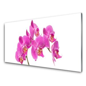 Plexiglas® Wall Art Flowers floral pink 100x50 cm