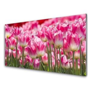 Plexiglas® Wall Art Tulips floral green white red 100x50 cm