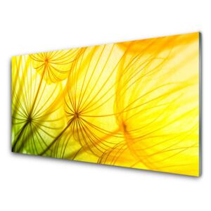 Plexiglas® Wall Art Dandelion floral green yellow 100x50 cm