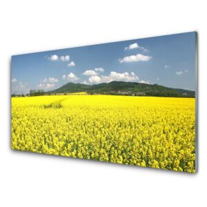 Plexiglas® Wall Art Meadow nature yellow 100x50 cm