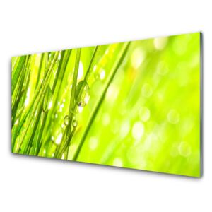 Plexiglas® Wall Art Weed nature green 125x50 cm