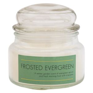 Frosted Evergreen Jar Candle