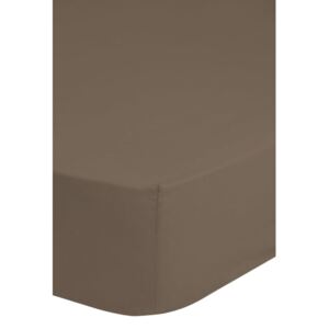 Emotion Non-iron Fitted Sheet 90x220 cm Taupe 0220.86.43