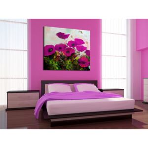 Canvas Print Poppies: Violet Poppy Flowers