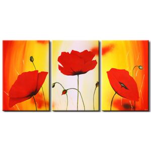 Canvas Print Poppies: Poppy meadow