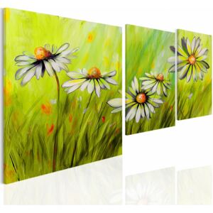 Canvas Print Daisies: Delicate daisies