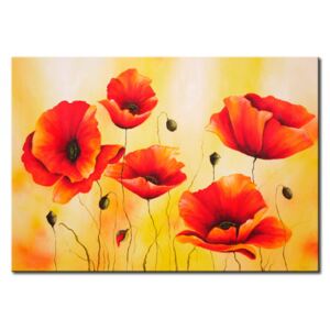 Canvas Print Poppies: Subtlety of a poppy