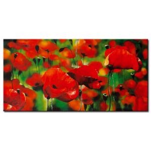 Canvas Print Meadow: Only poppy flowers