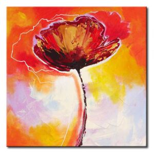 Canvas Print Poppies: Poppy seeds – in other way