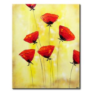 Canvas Print Poppies: Delicate poppies