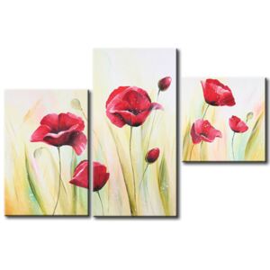 Canvas Print Poppies: Poppies in the morning dew