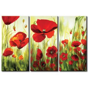 Canvas Print Poppies: Charm of poppy flowers