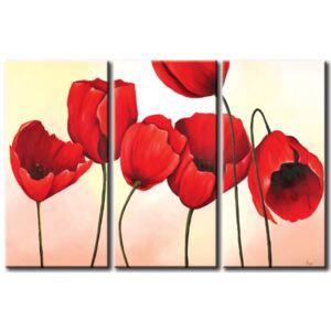 Canvas Print Tulips: Red dream