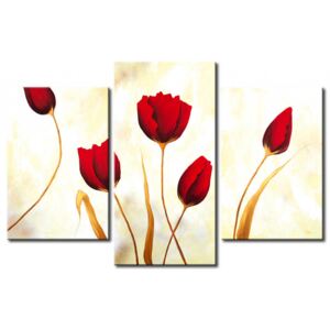 Canvas Print Tulips: Red tulips on white background